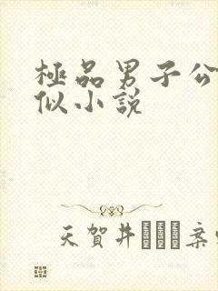 极品男子公寓类似小说