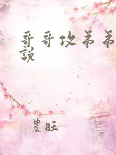 哥哥攻弟弟受小说