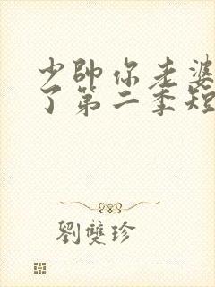 少帅你老婆又跑了第二季短剧