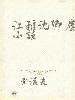 江稚沈卿尘免费小说