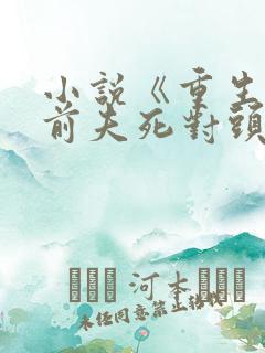 小说《重生嫁给前夫死对头》