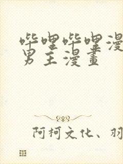 哔哩哔哩漫画双男主漫画