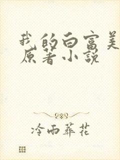 我的白富美老婆原著小说