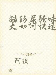 猫的尿骚味特别大如何快速去除