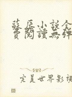 苏辰小说全文免费阅读无弹窗