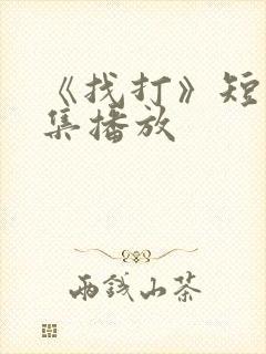 《找打》短剧全集播放