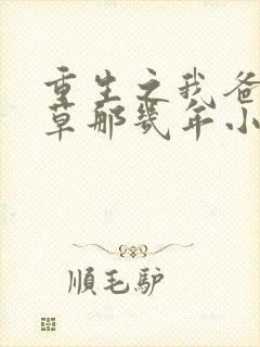 重生之我爸当校草那几年小说