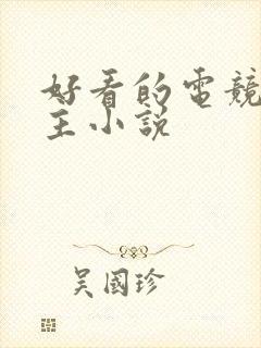 好看的电竞双男主小说