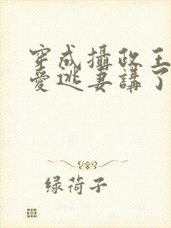 穿成摄政王的侍爱逃妻讲了什么