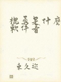 棍勇是什么动漫软件看