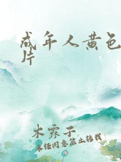 成年人黄色录象片