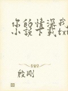 你的情深我不配小说下载txt