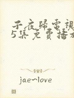 子夜归电视剧35集免费播放