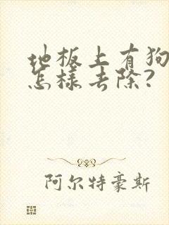 地板上有狗尿味怎样去除?