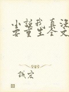 小说我真没想过要重生全文阅读