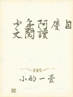 少年阿庆目录全文阅读