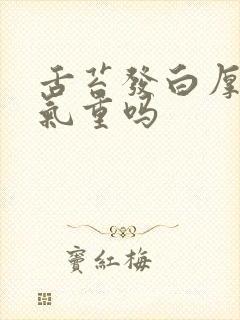 舌苔发白厚是湿气重吗