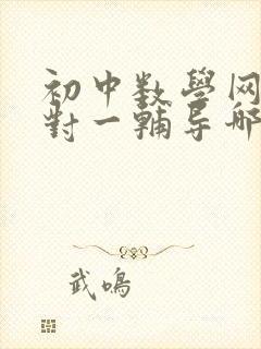 初中数学网上一对一辅导哪家比较好