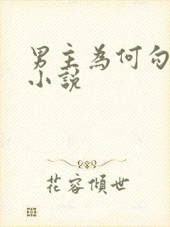 男主为何勾引我小说