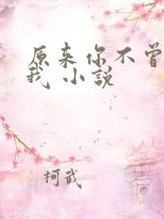 原来你不曾爱过我 小说