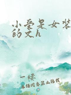 小受是女装大佬的文h