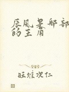 辰风是哪部小说的主角