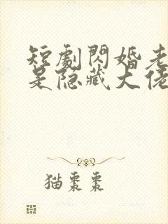 短剧闪婚老公竟是隐藏大佬免费观看