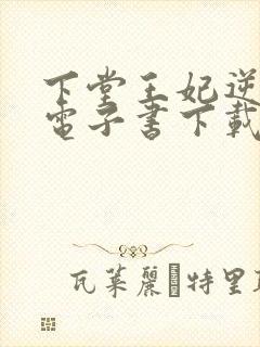 下堂王妃逆袭记电子书下载