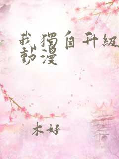 我独自升级免费动漫