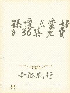 孙俪《蛮好人生》36集免费观看