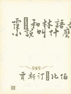 霍玦和林语乔的小说叫什么名字