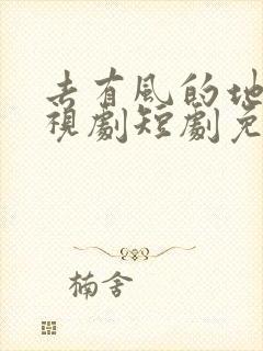 去有风的地方电视剧短剧免费观看