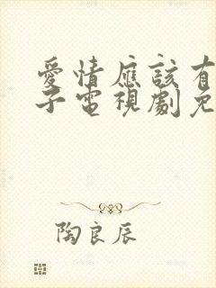 爱情应该有的样子电视剧免费看