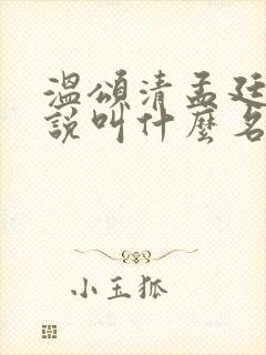 温颂清孟廷修小说叫什么名字