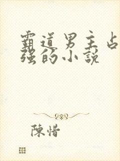 霸道男主占有欲强的小说