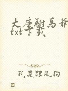 大唐驸马爷全文txt下载