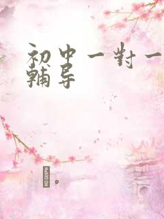 初中一对一地理辅导