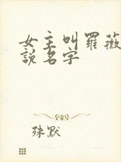 女主叫罗薇的小说名字