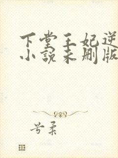 下堂王妃逆袭记小说未删版完整