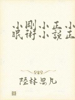 小刚小正小柔催眠术小说正版阅读