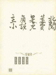 主角是叶北辰的小说免费阅读全文