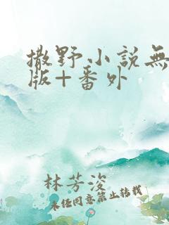 撒野小说无删减版+番外