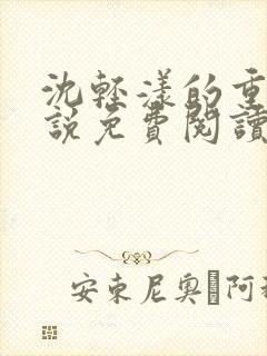 沈轻漾的重生小说免费阅读全文