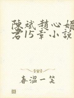 陈斌赵心媚高婉君15章小说