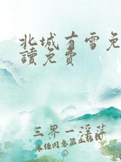 北城有雪免费阅读免费