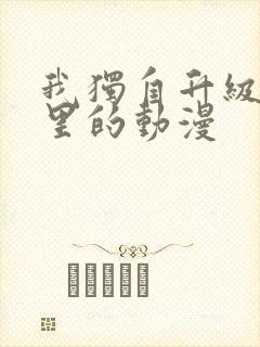 我独自升级是哪里的动漫