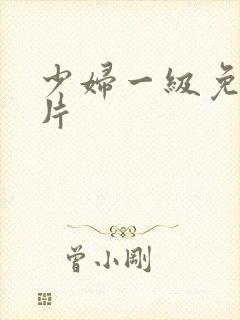 少妇一级免费淫片