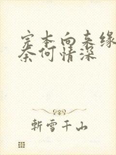 完本向来缘浅,奈何情深