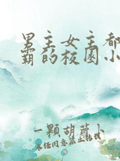 男主女主都是校霸的校园小说