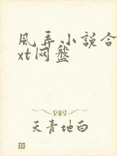 风弄小说合集txt网盘